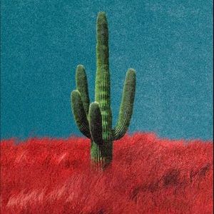 Meet your Posher, Giovanni